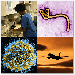 ebola image collage